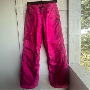 Patagonia H2no snow pants